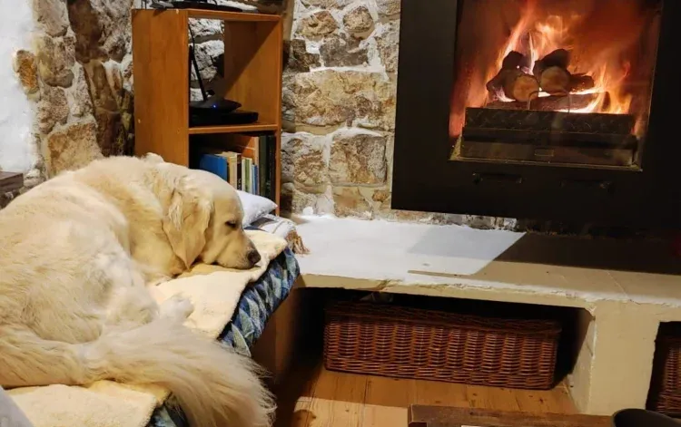 Imagen de CHIMENEA