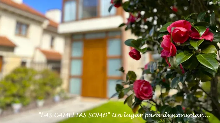 Imagen de Déjanos enseñarte porque es un lugar que te hará desconectar.....