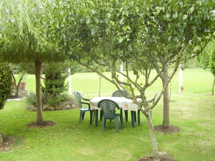 Imagen de Jardín
