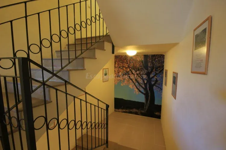 Imagen de Escaleras habitaciones