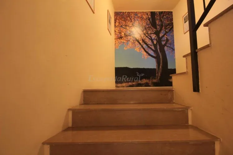 Imagen de Escaleras habitaciones