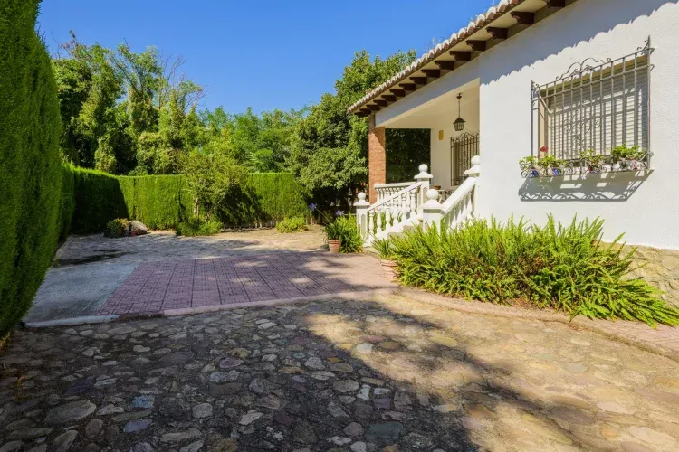 Imagen de Entrada