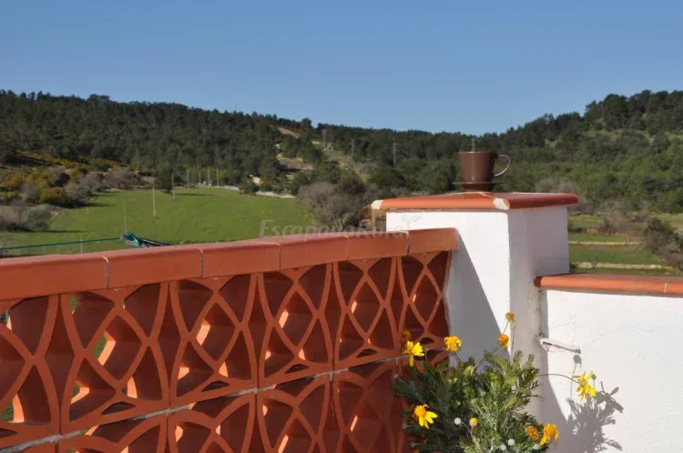 Imagen de Terraza