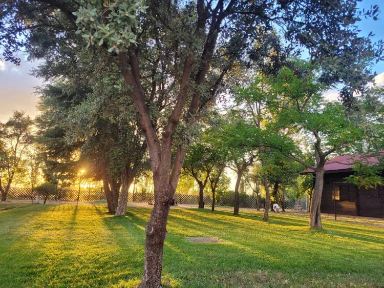 Imagen de Jardín Recinto
