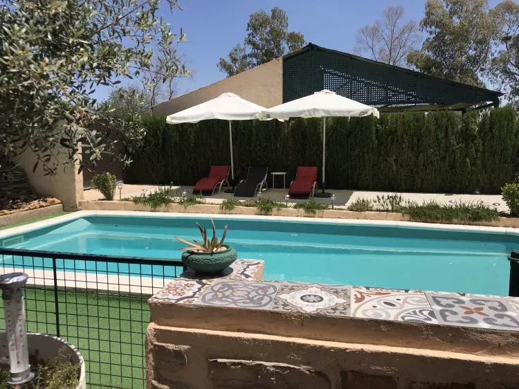Imagen de Vista piscina (con hamacas)