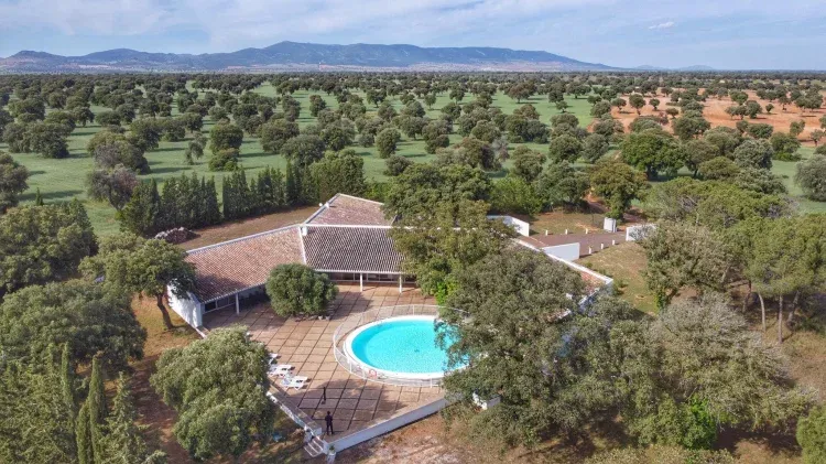 Imagen de Imagen aérea de la Casa del Príncipe, al fondo la Dehesa de Zacatena