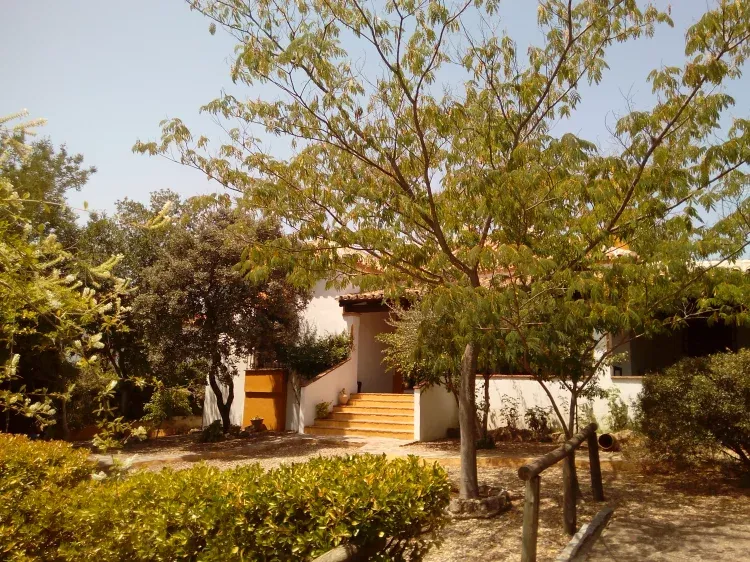 Imagen de Jardín