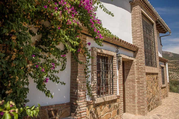 Imagen de Detalle de fachada