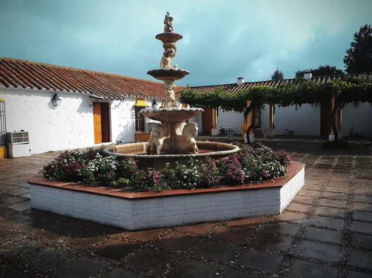 Imagen de Fuente central