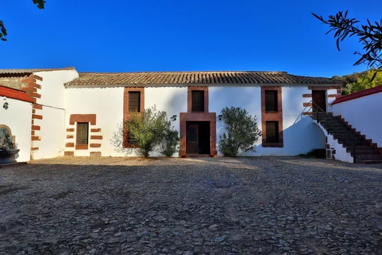 Imagen de Patio