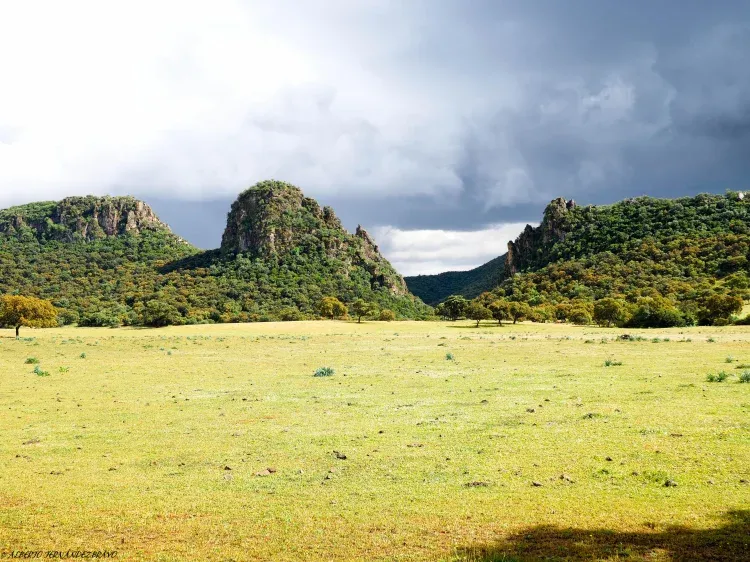 Imagen de Finca