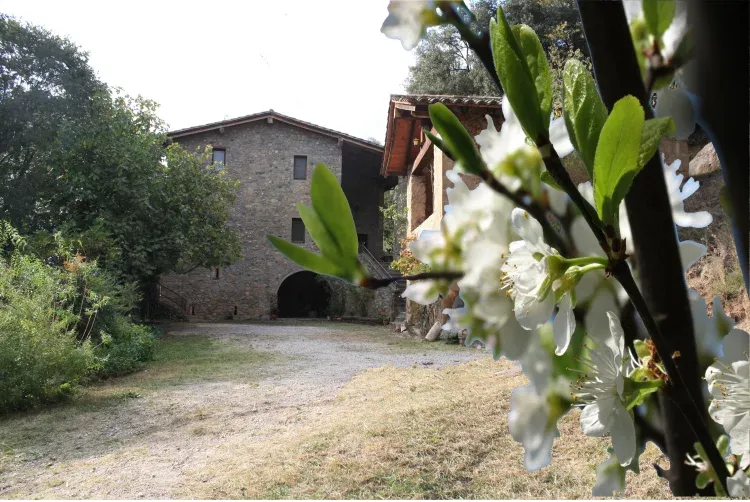 Imagen de Mas Colom en primavera