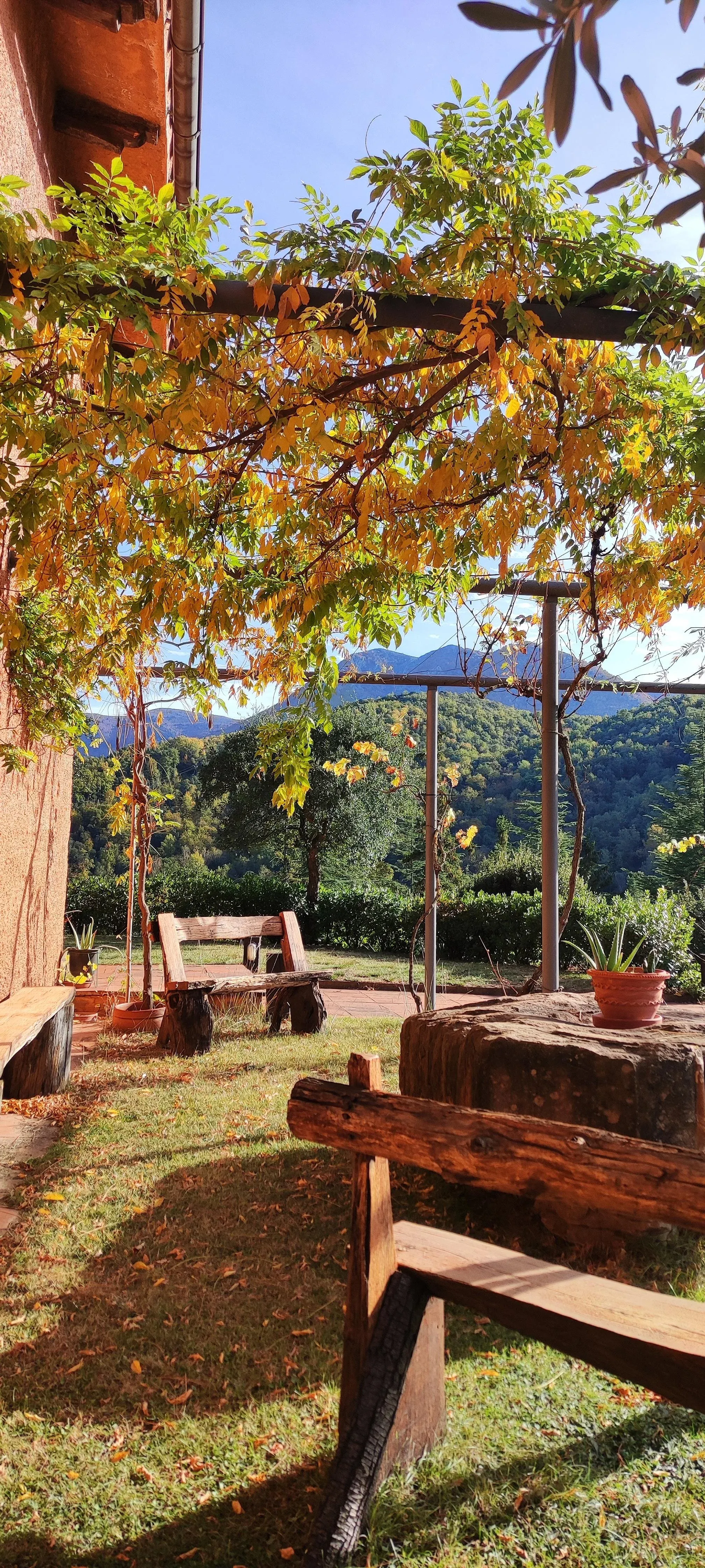 Imagen de Otoño - Octubre