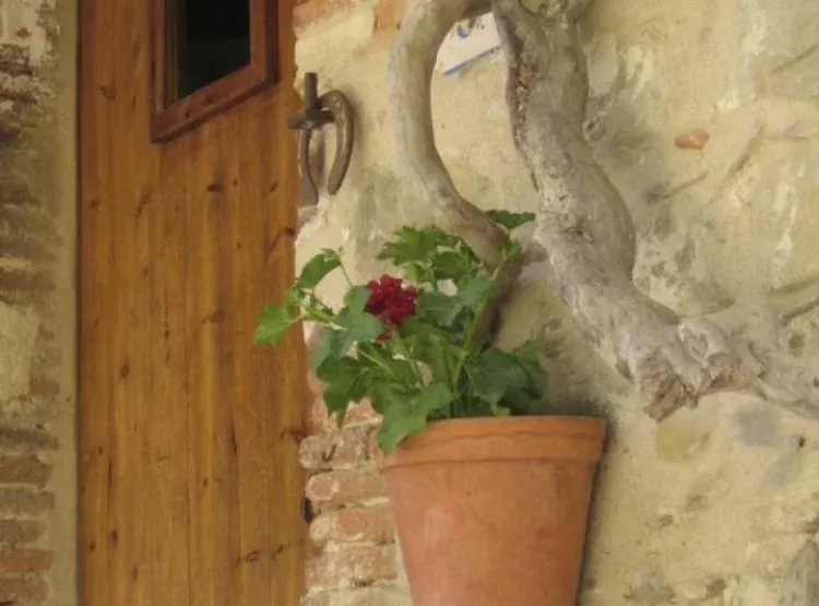 Imagen de Detalle maceta entrada 