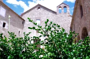 Imagen de Monestir de Sant Salvi