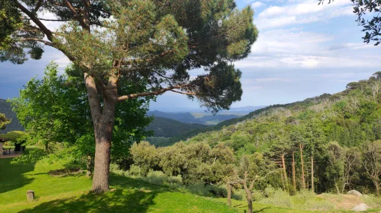 Imagen de vista