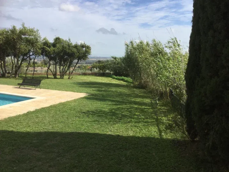 Imagen de Piscina y entorno