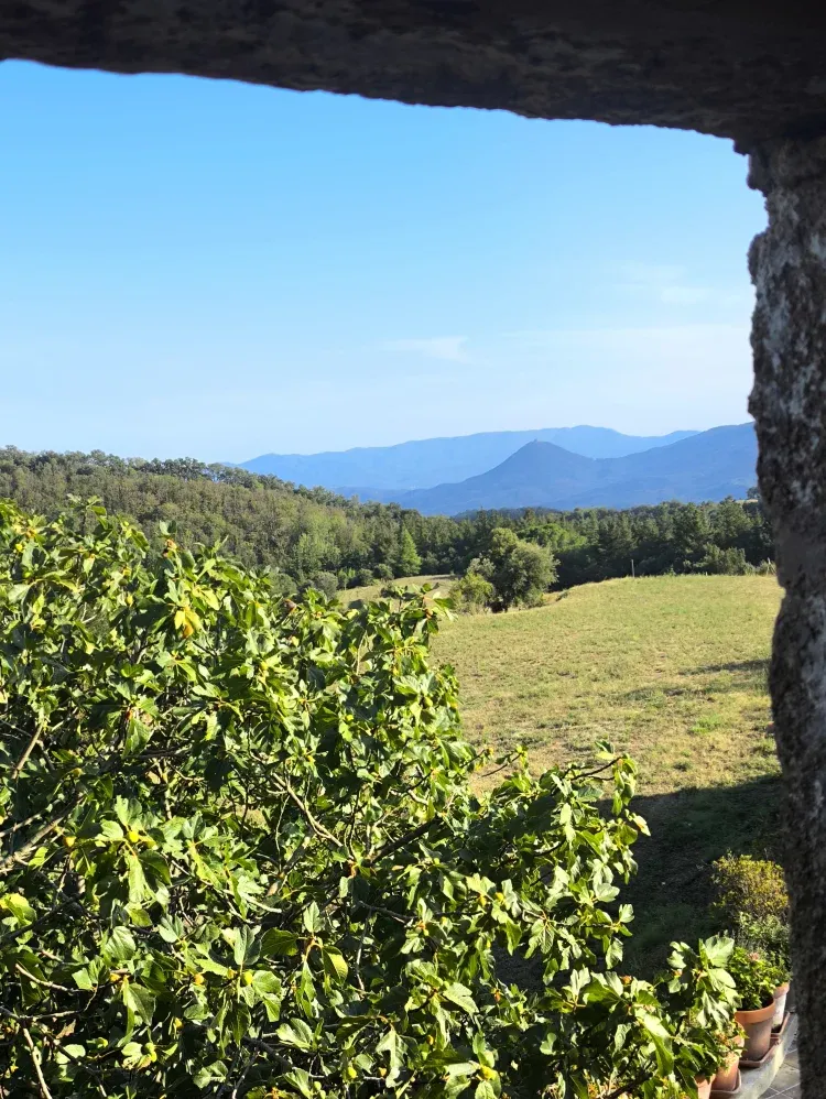 Imagen de Vistas