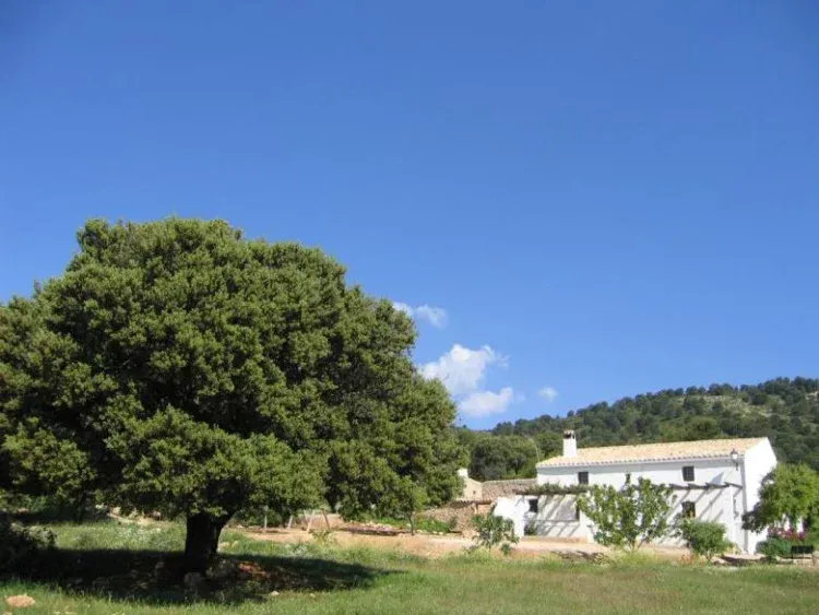 Imagen de Casas Rurales Cortijos Cerro Fuentes Nuevas ( 2 a 14 personas.)