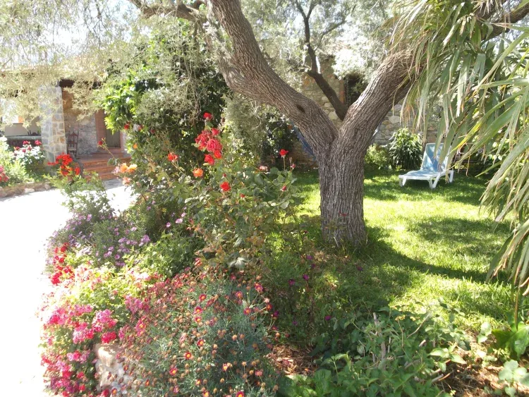 Imagen de jardin
