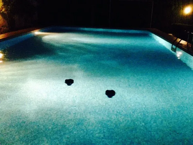 Imagen de La piscina tiene focos para por la noche