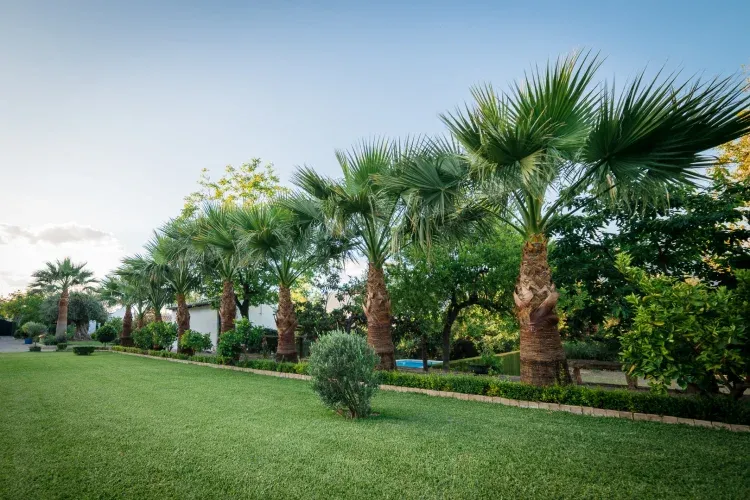Imagen de Jardines