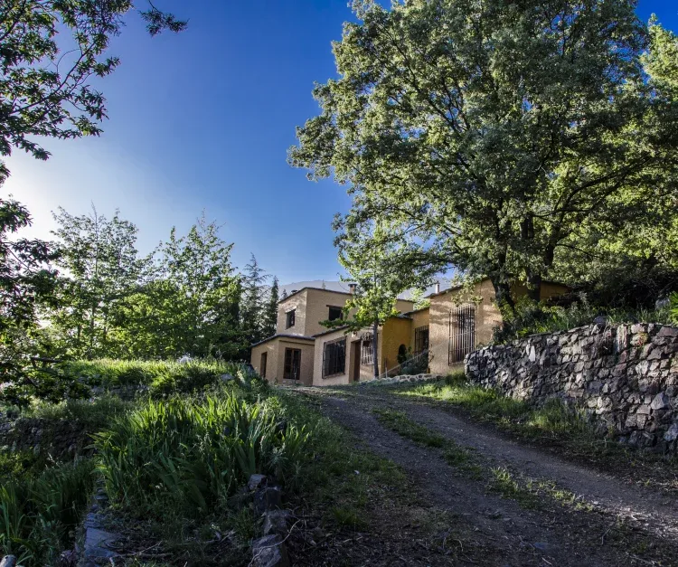 Imagen de La primavera desde el cortijo.
