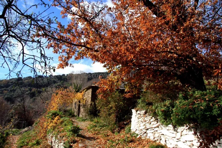 Imagen de Casa del Aula de la Naturaleza - fachada