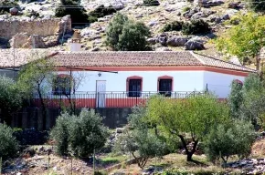 Imagen de El Almendro de Fuentes Nuevas