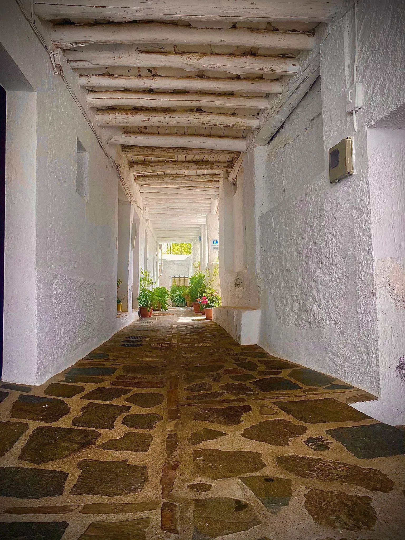 Imagen de Entrada Tinao