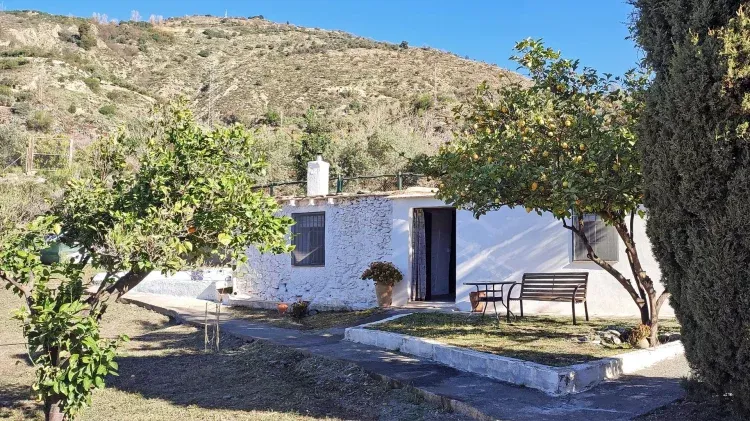 Imagen de Entrada cortijo, terraza y zona de jardines.