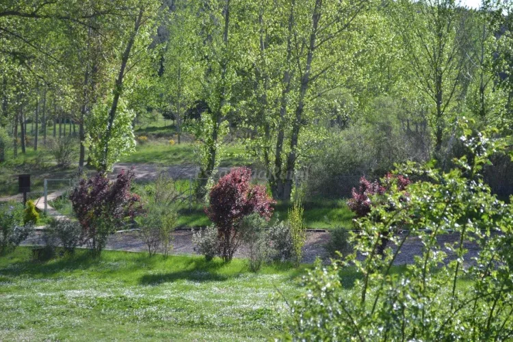 Imagen de Jardines