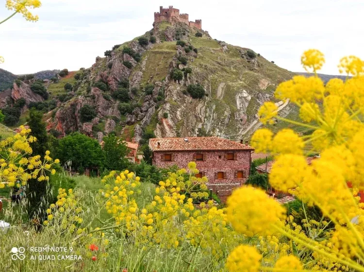 Imagen de Castillo de la riba 2
