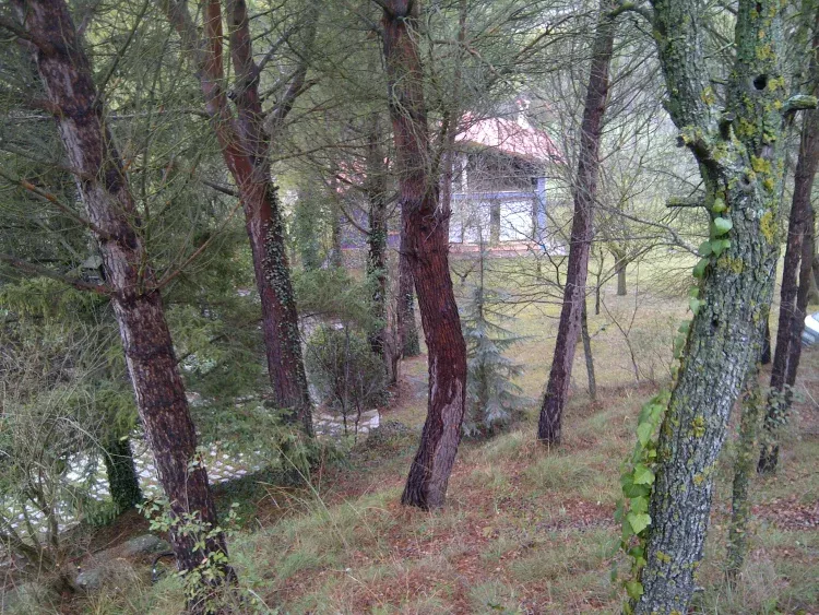 Imagen de La morada desde el monte