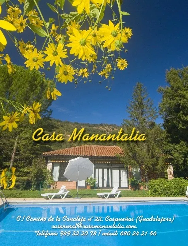 Imagen de Piscina