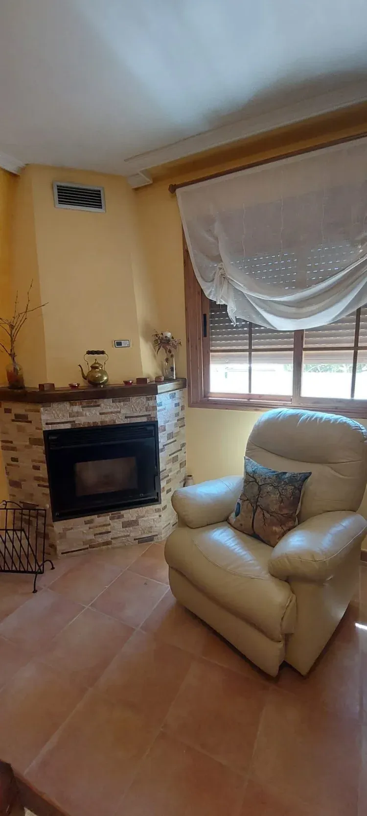 Imagen de Sal&oacute;n y chimnea
