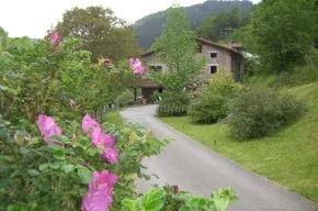 Imagen de Goikola