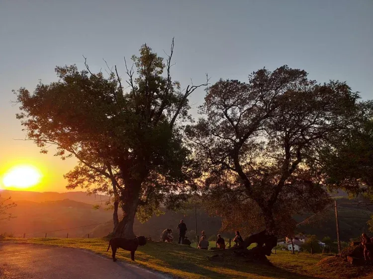 Imagen de Atardecer con amigos