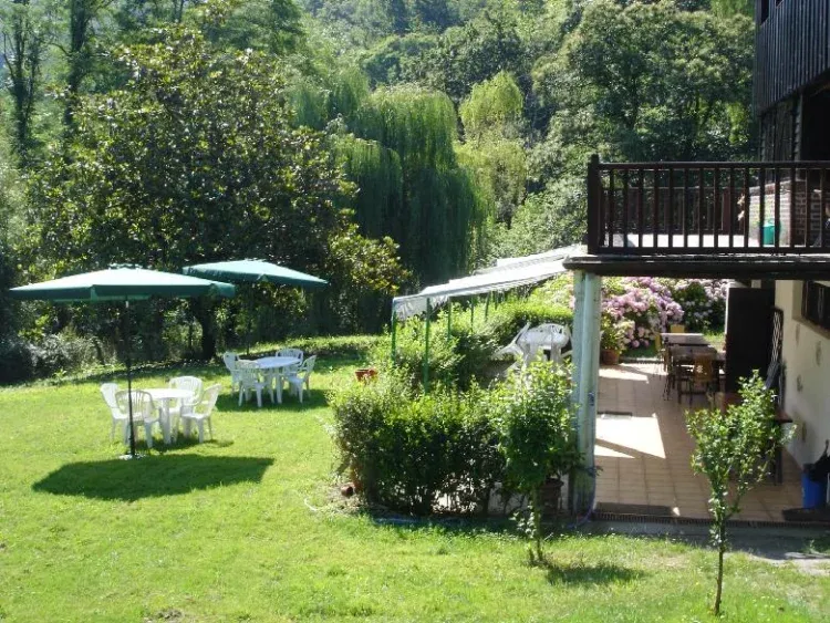 Imagen de JARDÍN CASA 