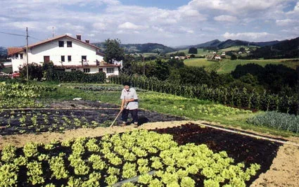 Imagen de mi padre en la huerta
