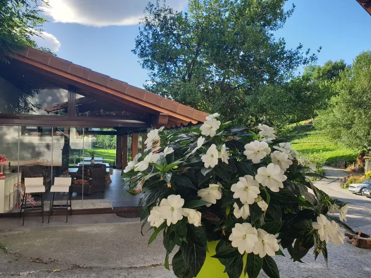 Imagen de Porche con barbacoa y cristalera