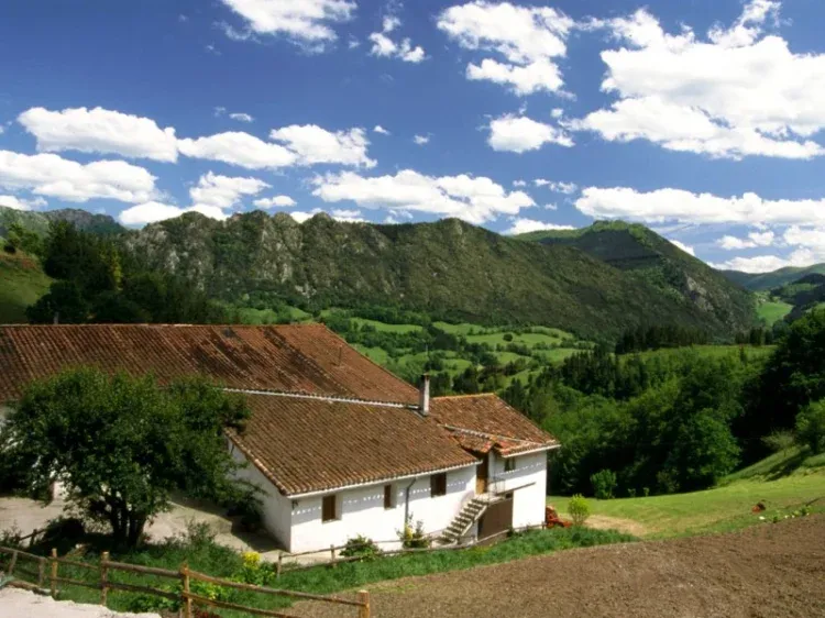 Imagen de vista del agroturismo