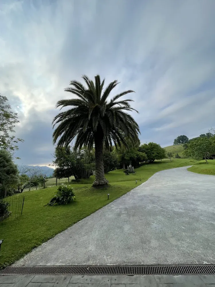 Imagen de Vistas