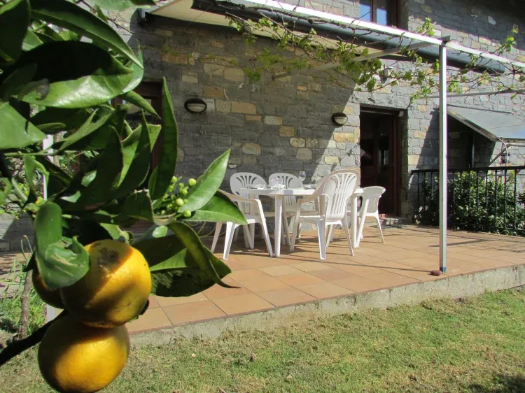 Imagen de Jardín con frutales