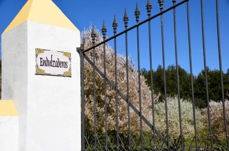 Imagen de Entrada