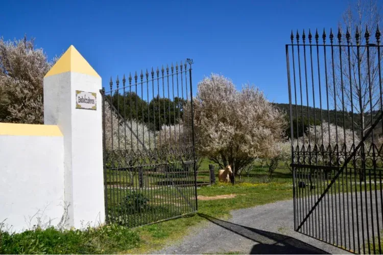 Imagen de Entrada campo