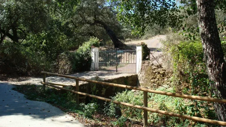 Imagen de Entrada.