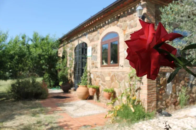 Imagen de Fachada