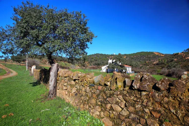 Imagen de Casa de la Huerta