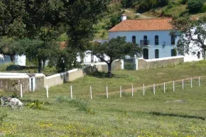 Imagen de Finca Fuentibáñez
